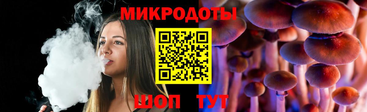 Псилоцибиновые грибы Psilocybine cubensis Корсаков